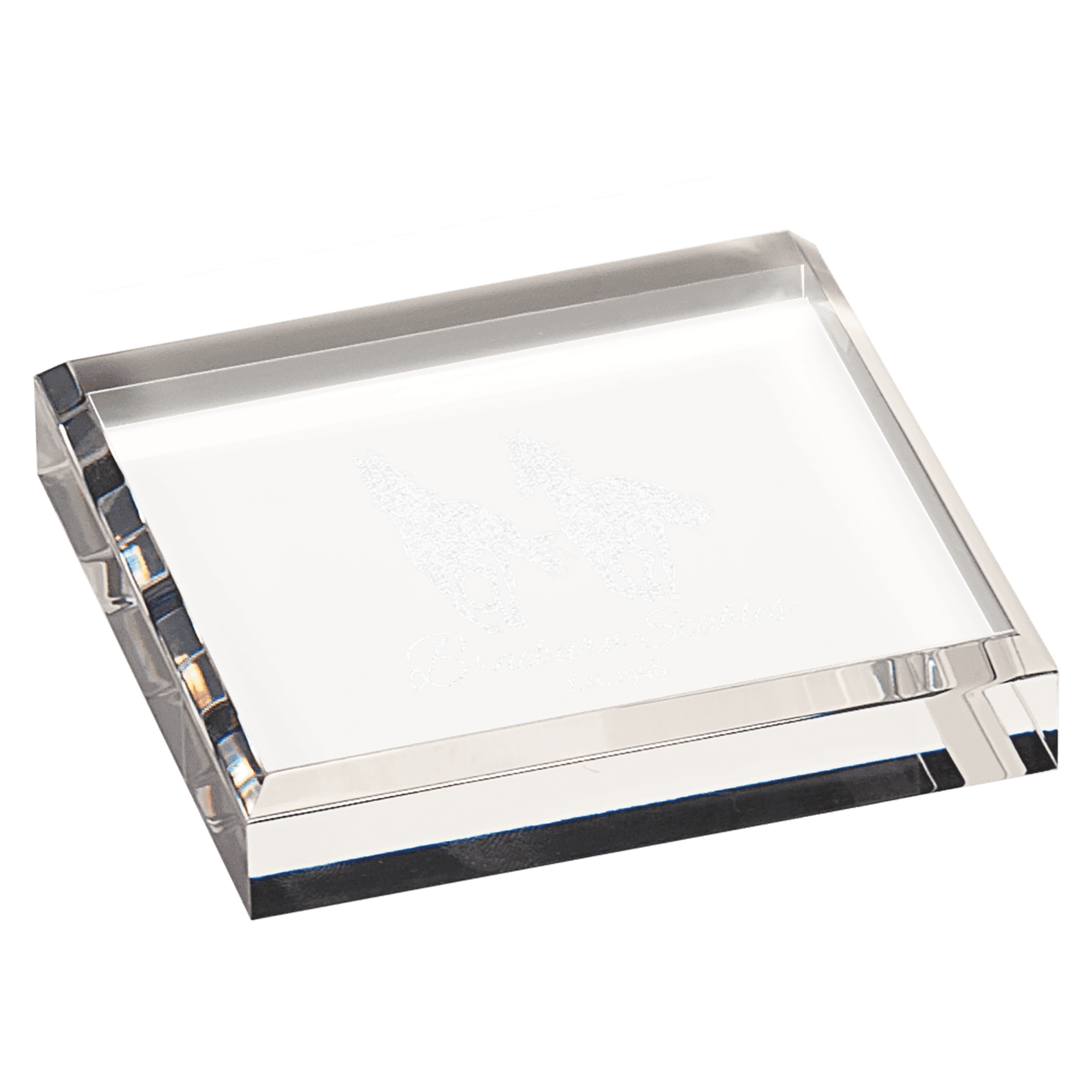 Acrylic Paperweight - Clear - Awards & More #