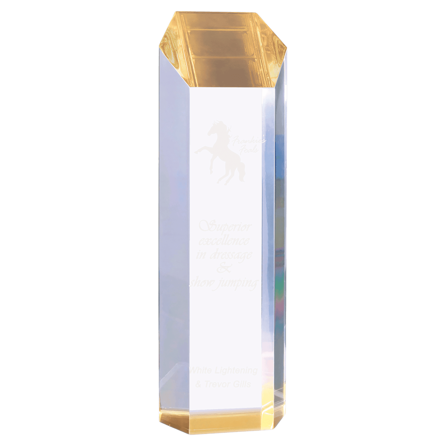 Tower Acrylic - Gold - Awards & More #